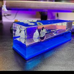 Unsinkable Ship Forever Float